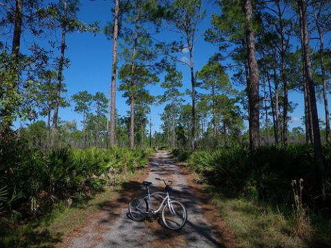 florida.jpg